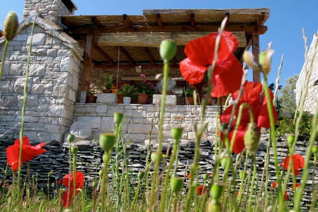 Holiday Home Tania Vela Luka Εξωτερικό φωτογραφία